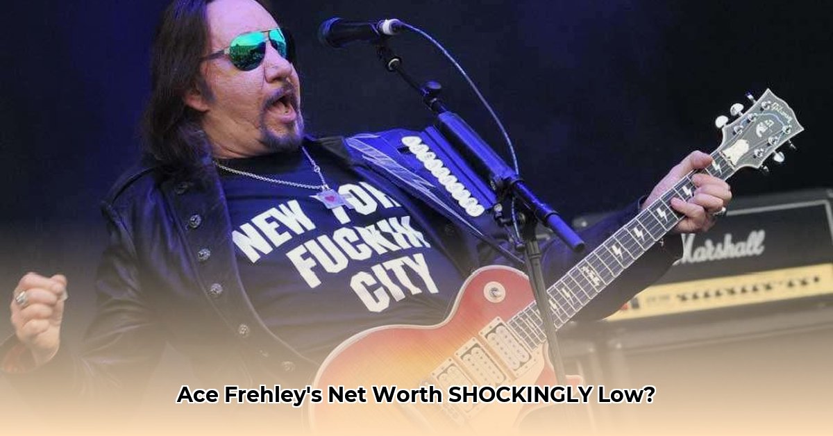 ace-freely-net-worth